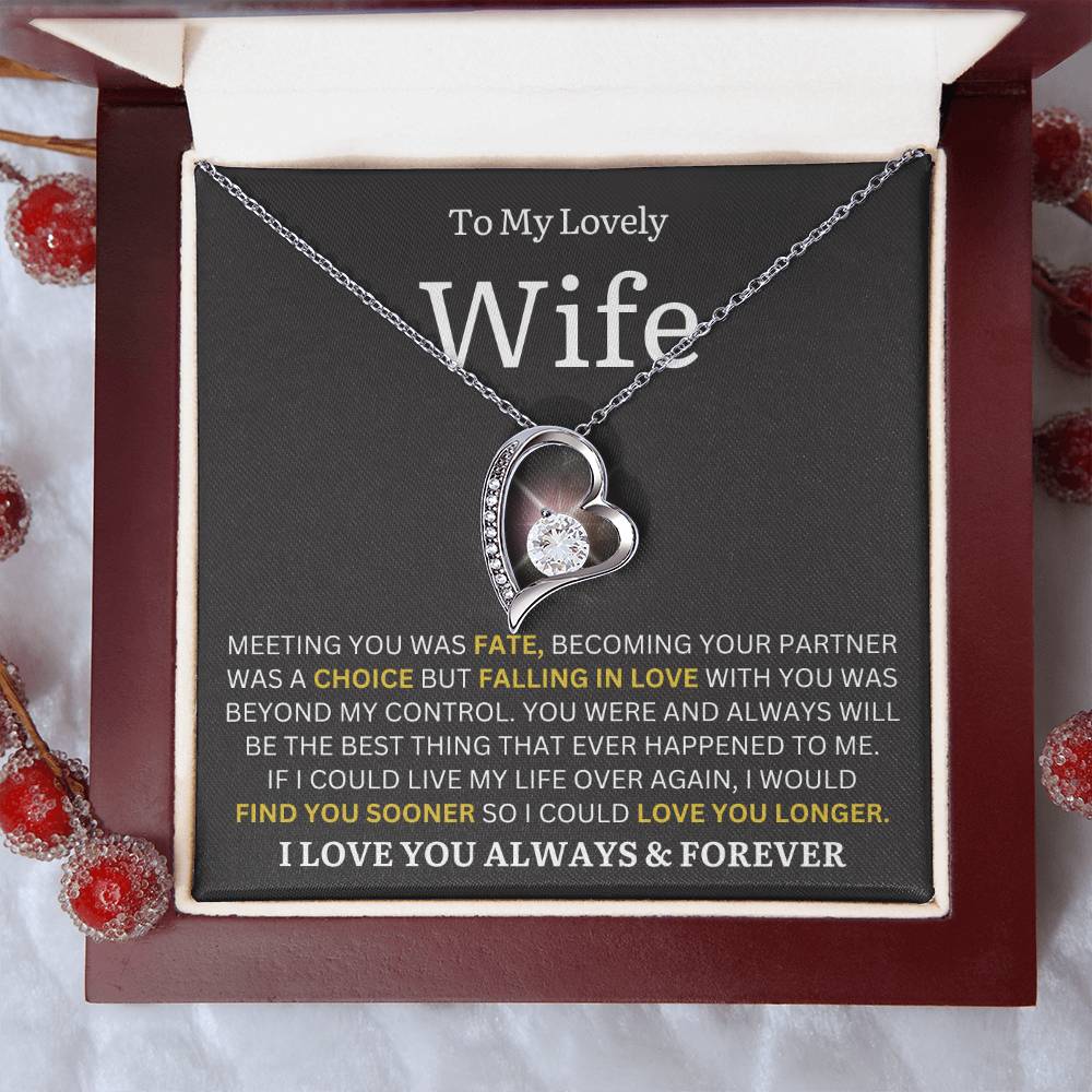 To My Lovely Wife - Find You Sooner