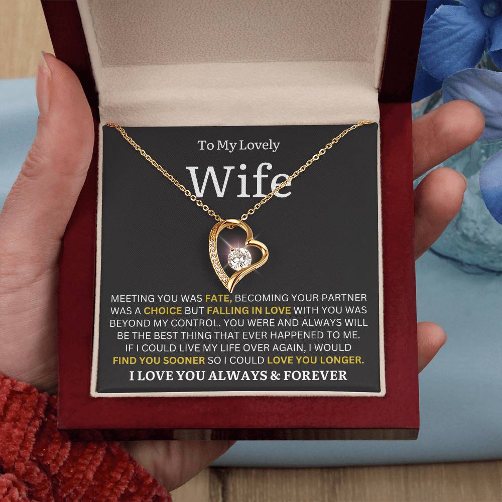 To My Lovely Wife - Find You Sooner