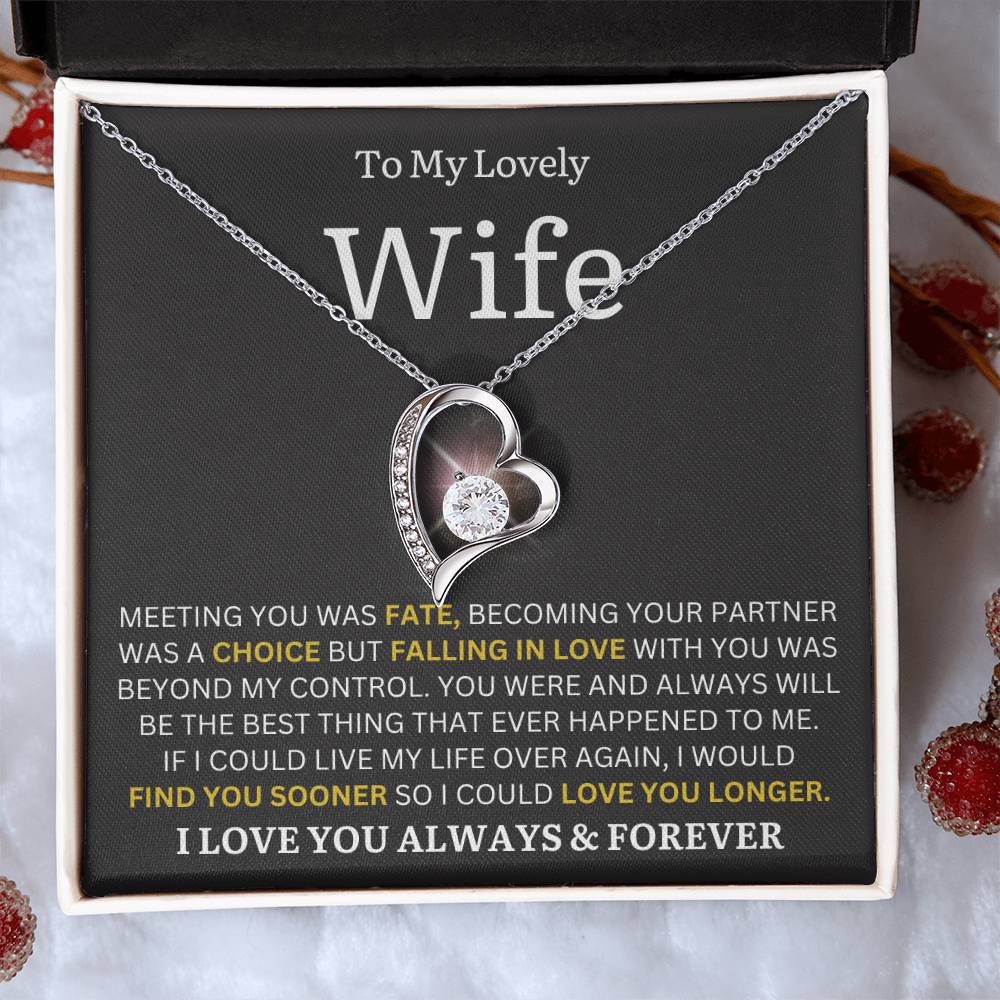To My Lovely Wife - Find You Sooner