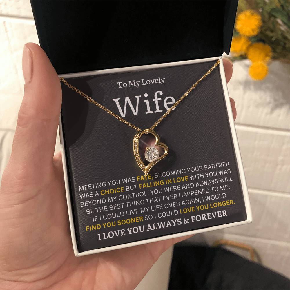 To My Lovely Wife - Find You Sooner
